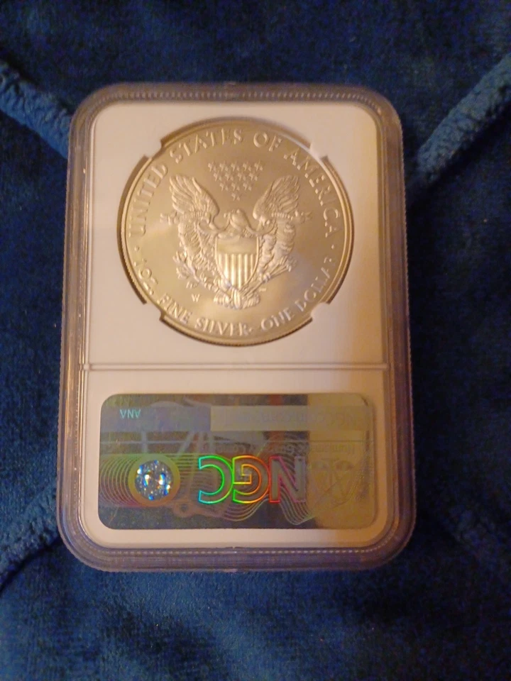 American Silver Eagle 2008-W bruñido Foto 3 de 4