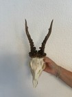 Bild 2 von 7