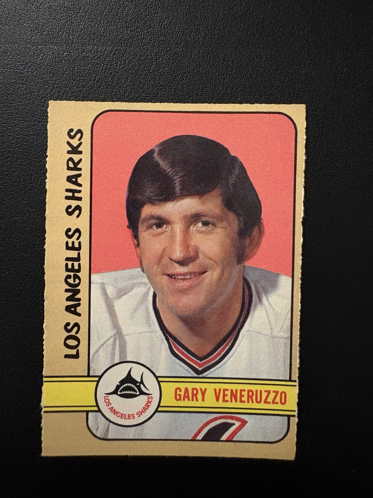1972 O-PEE- CHEE WHA HOCKEY #3310 GARY VENERUZZO! PRINTED IN CANADA! HIGH# EXMT