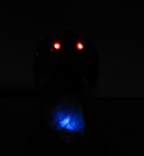 2006 Halloween Gemmy "The Black Raven" On Tombstone Eyes Light & It Talks Sensor - Picture 14 of 14