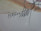 Bild 4 von 8