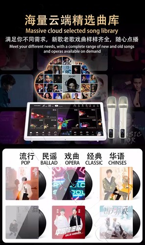 DAMINW 15.6''InAndon Karaoke Player 1T-4T SSD,Mixing amplifier,固態盘5 in 1 YouTube - Picture 7 of 23