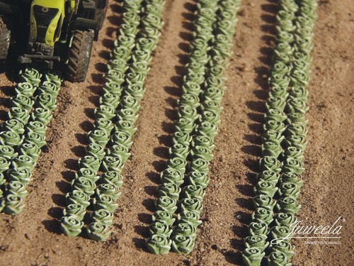 Juweela 28371 und 28372 Kopfsalat Keramik 1:87 Spur H0 Ernte Feld Salatpflanzen - Picture 2 of 3