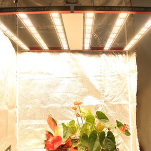 Aglex 700w Led 植物生长灯全光谱6 根可折叠室内植物花卉 Ebay Aglex 700w Led 植物生长灯全光谱6 根可折叠室内植物花卉 Ebay