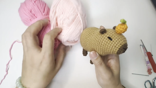 Capybara crochet kit for beginners adult Capybara Gift - Video 1 of 1