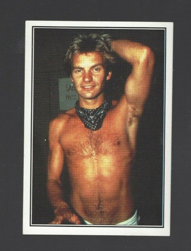 1985 Panini Smash Hits Stickers - Rock - Band - Pop - Music - Rappers - You Pick - Picture 78 of 177