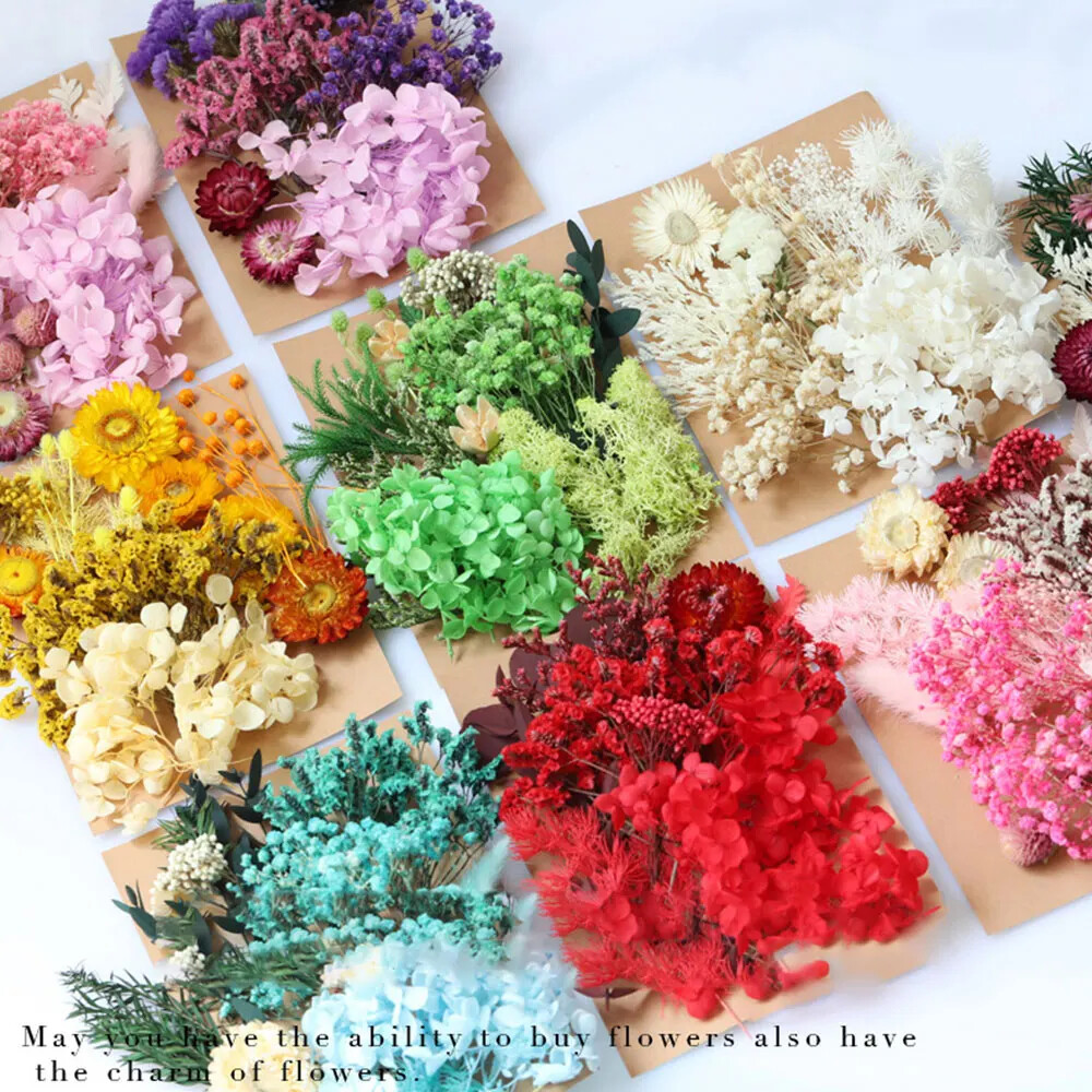 1 Pack Artificial Plants Dried Real Flowers Preserved Material Resin