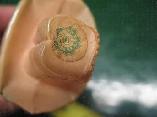CELLULOID FLAPPER BABY DOLL N. C. W. U. T. A. 1 ST CLASS 4.5'' ORIGINAL JAPAN - Picture 5 of 5