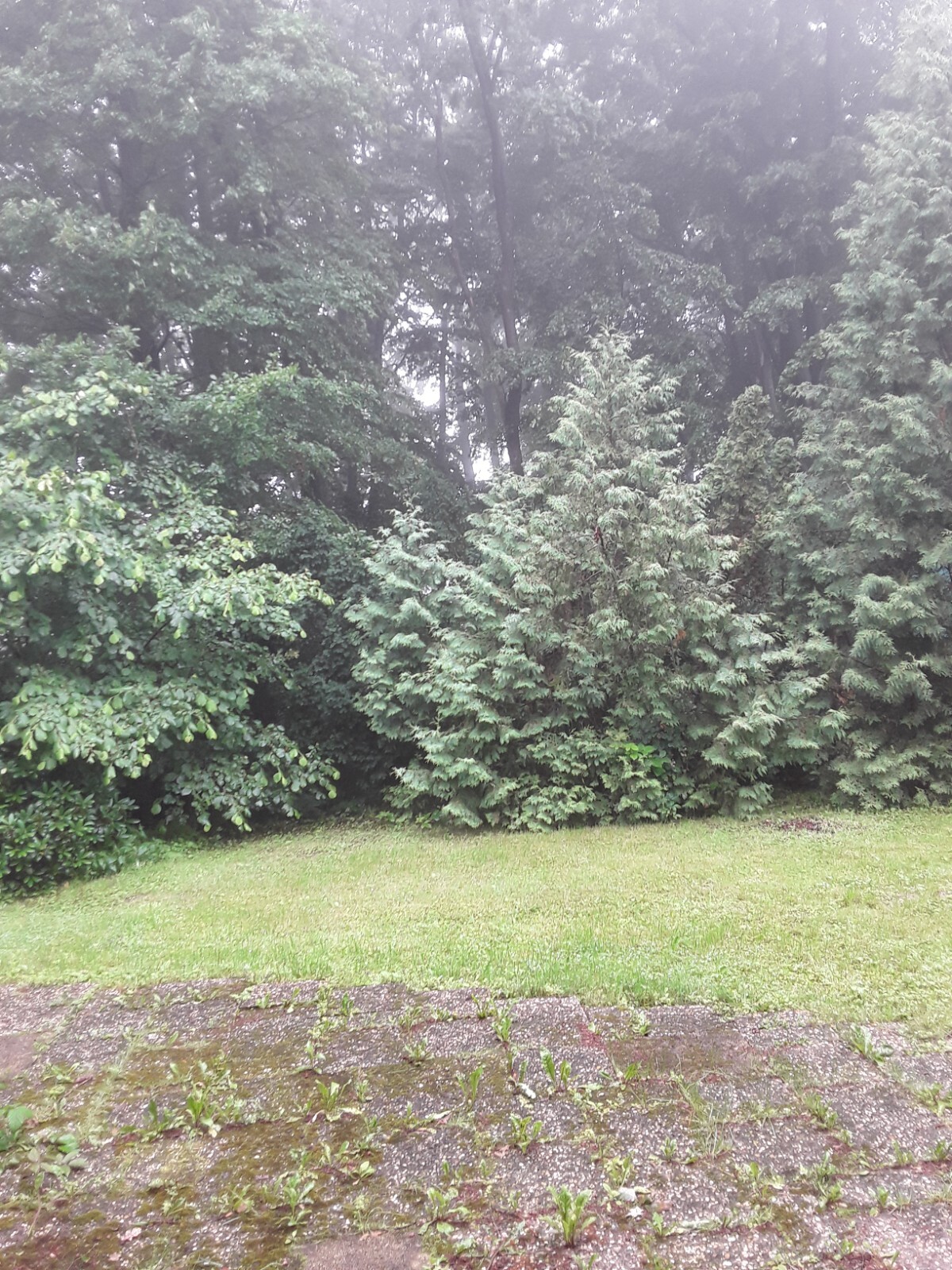 Bild 6 von 11