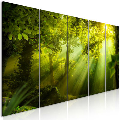Leinwand Bild Wald Natur Baum Landschaft Wandbilder Xxl Akustikbilder Ebay