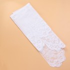 Sheer Kitchen Window Tier Vorhang Weiß Home Decoration Furnishings (White)