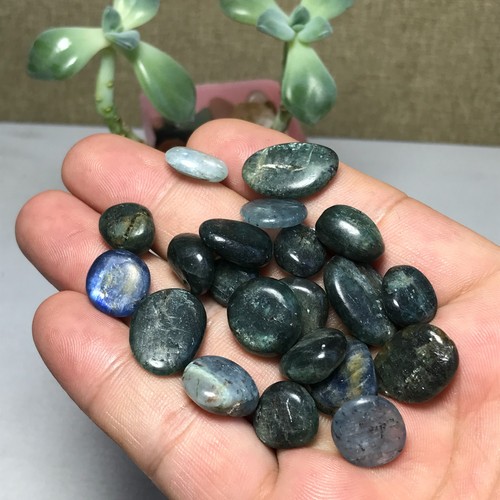 21Pcs Rare NATURAL Blue Kyanite gemstone crystal tiny mineral Specimen 52g A8660 - Picture 6 of 16