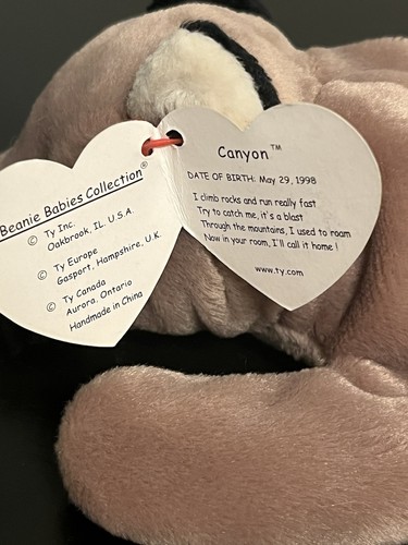 🔥Ty Beanie Babies: Canyon Geburtsdatum: 29. Mai 1998 🔥 - Bild 6 von 6
