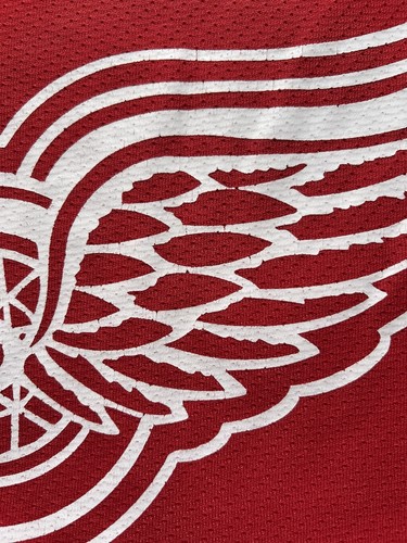 Maglia allenamento Brendan Shanahan Detroit Red Wings NHL CCM uomo taglia XL #14 - Foto 23 di 23