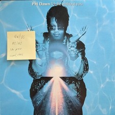 P.M. Dawn I'd Die Without You Vinyl Record EX/VG GEET39 1992