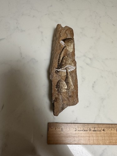 Vintage Signed Boho Cottage Hand painted Mushrooms On Drift Wood 70s Wall Decor - Picture 7 of 7