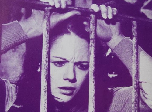 BLOOD IN THE STREETS Vintage Campy 1975 Italian Action Movie PRESSBOOK / POSTER - Picture 10 of 12