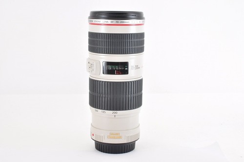 Canon Ef 70-200mm F/4L Is USM Telefoto Lente de Zoom para EOS Montaje Montura - Imagen 14 de 16