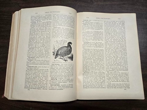 1914 DICTIONARY OF THE HOLY BIBLE ANTIQUE AMERICAN TRACT SOCIETY HC CHRISTIAN - Picture 13 of 24