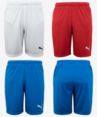 puma men's liga training pants