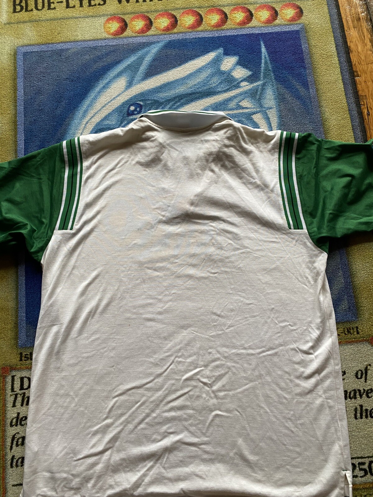 Foto 7 di 7