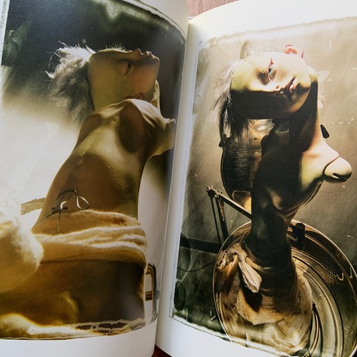 Etsuko Miura BJD Ball Joined Doll Artworks Photo Book 2006 Bride of Frankenstein - Picture 18 of 24