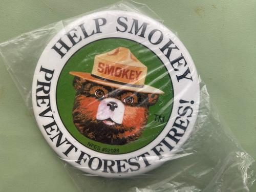 Vintage Smokey The Bear Help Prevent Waldbrände! Pinback Button Pin 3'' - Bild 3 von 3