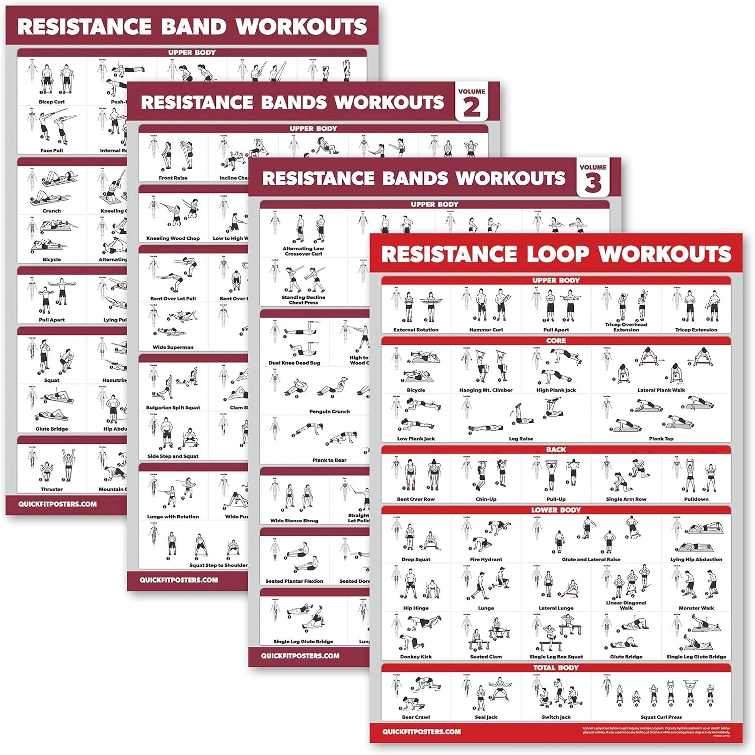 4 Pack -Resistance Bands Workout Exercise Posters + Resistance Loops (18" x 24")