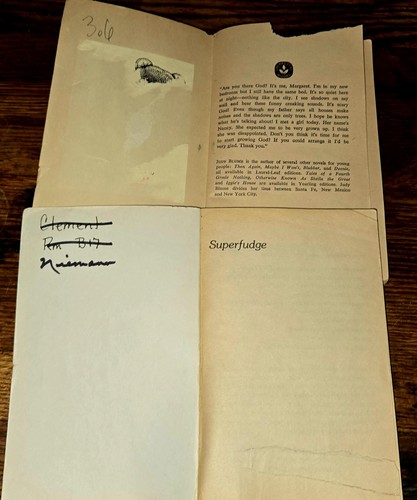 4th 5th Grade Classic Chapter Book Teacher Classroom Library Homeschool FB592 - Bild 18 von 20