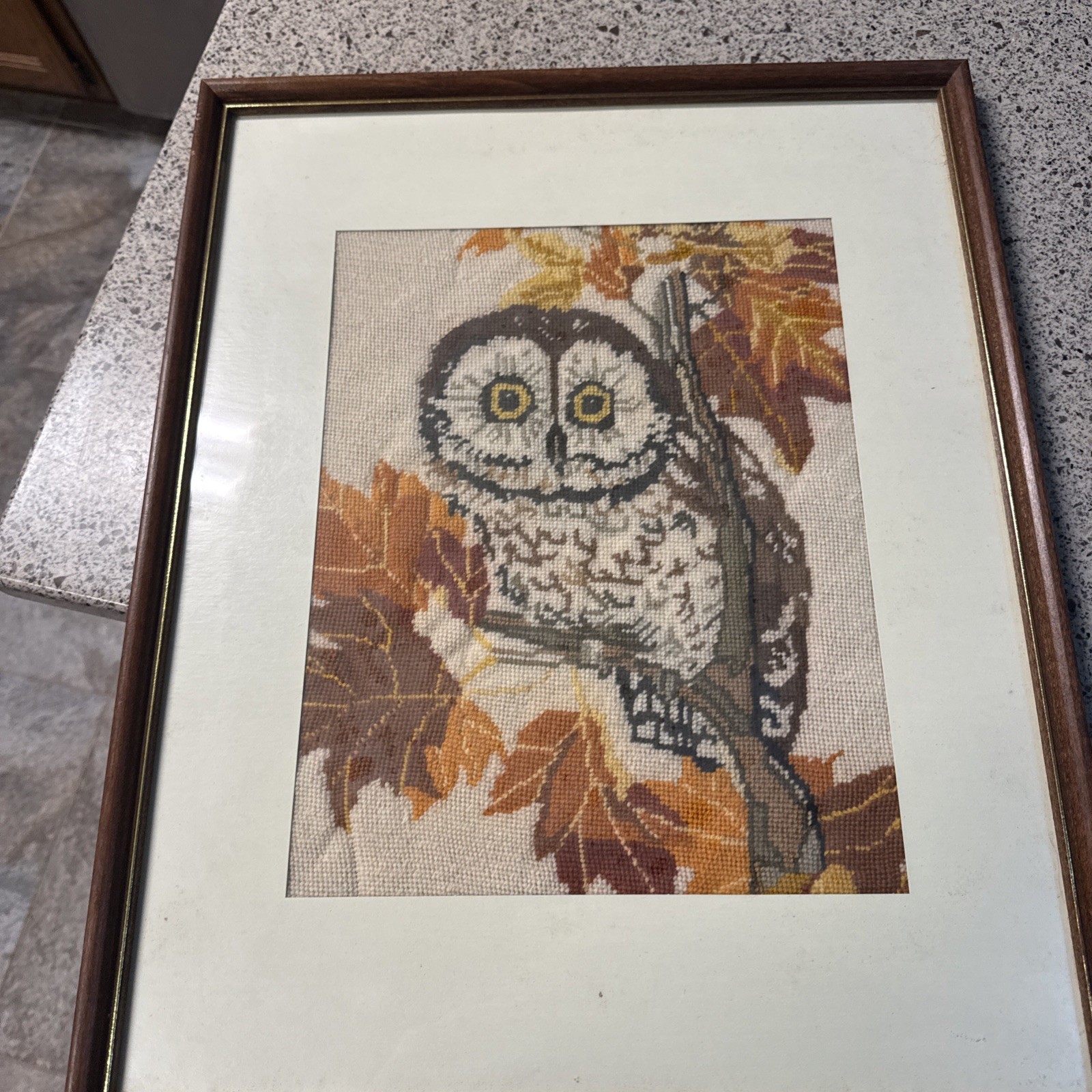 Picture 5 of 5