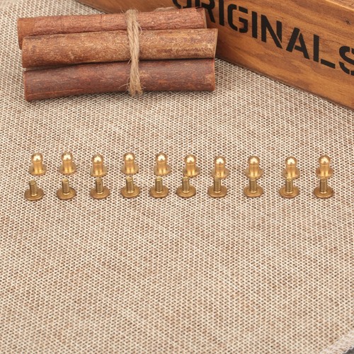 Remaches de uñas cinturón de cuero herramienta artesanal de cuero atornillado liso de latón 10 piezas - Imagen 7 de 18