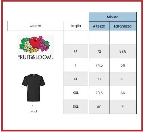 Componi il SET maglia manica corta UOMO FRUIT OF THE LOOM T-SHIRT 100% cotone - Foto 11 di 15