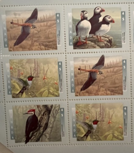 Birds Of Canada Stamp Sheet Mint 1996 Oiseaux Du Canada Stamps X 12 Bird Fun - 第 2/7 張圖片