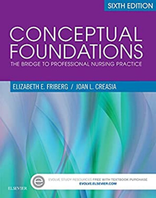 Conceptual Foundations : The Bridge to Professional Nursing Pract