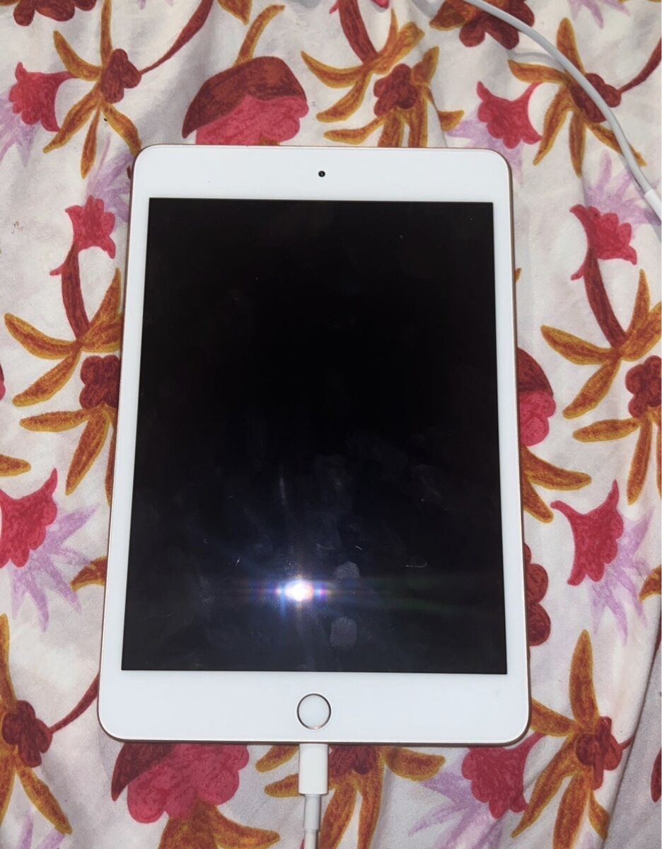 Amazon.com : Apple iPad mini 5-64GB - WiFi - Gold (Renewed