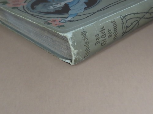 Das Gluck der Heimat bon S.V. Niebelshub 1905 hardcover - Picture 12 of 22