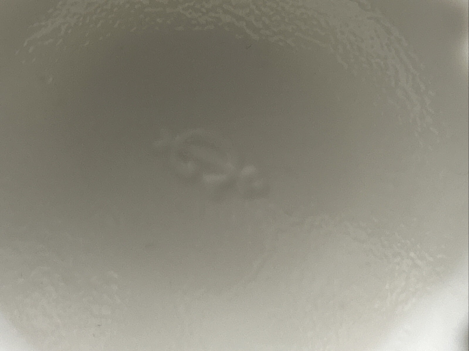 Bild 9 von 9
