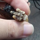Foto 5 di 12