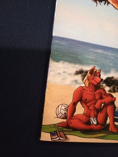 Costume da bagno Hit The Beach #2 VARIANTE peloso speciale 1994 stampa antartica fumetto - Foto 12 di 20