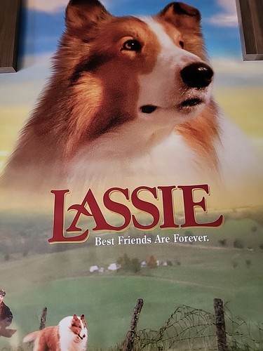 Lassie Original Double Sided Movie Poster 27x40 Rolled Film 1994 - Picture 8 of 14