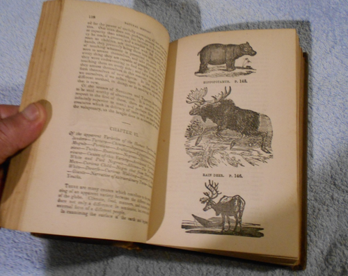 #G. c1860 BUFFON'S NATURAL HISTORY VOLUMES 1 & 2 IN SINGLE VOLUME - REPAIRED - Picture 6 of 8
