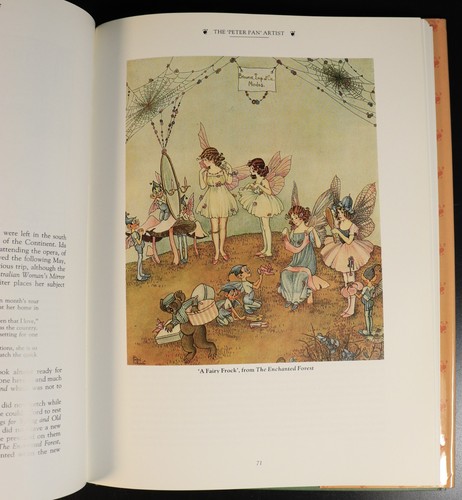 The Fairy World Of Ida Rentoul Outhwaite 1988 Illustrated Childrens Book - Picture 10 of 14