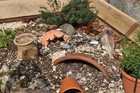 Bild 8 von 9