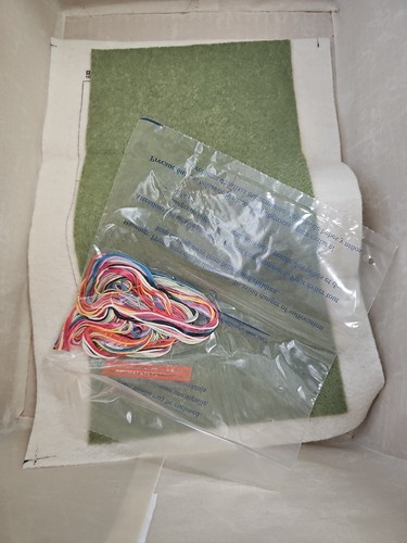Bucilla Hip Stitch "ASIAN SPLENDOR" Kit ricamo trasferimenti ferro 45105 *NUOVO* - Foto 5 di 13