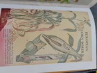 Bild 11 von 13