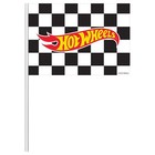Hot Wheels Race Car Toy Vehicle Kids Birthday Party Favor Checkered Flags