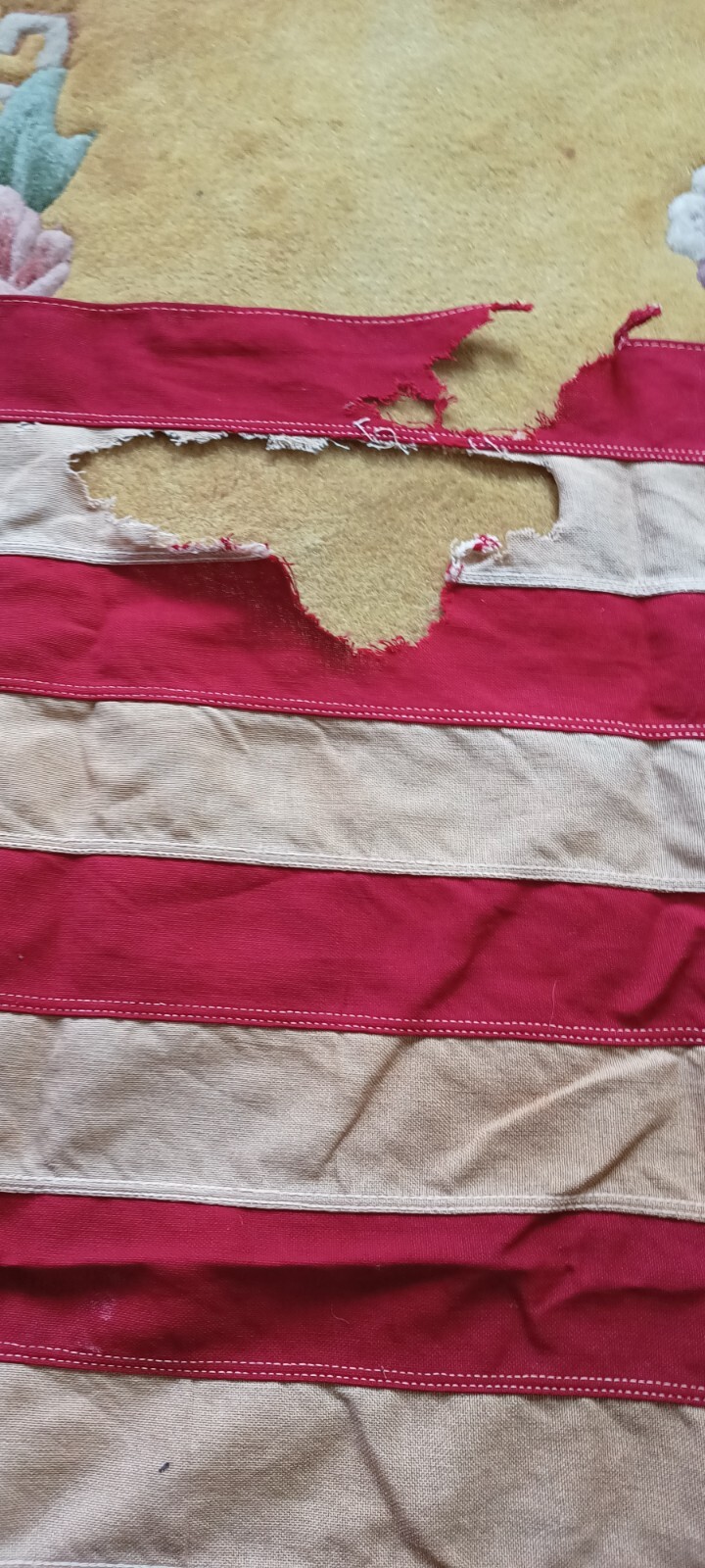 Picture 6 of 12