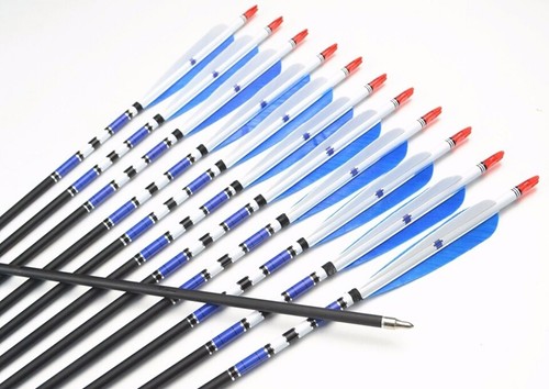 12Pcs Archery 28"/30"/32" Carbon Arrows SP500 Hunting for Compound Recurve Bow - Picture 30 of 32