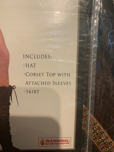 NWOT Sexy Robin Hood Costume Adult Size Small 2-6 Forum Novelties - Picture 3 of 5