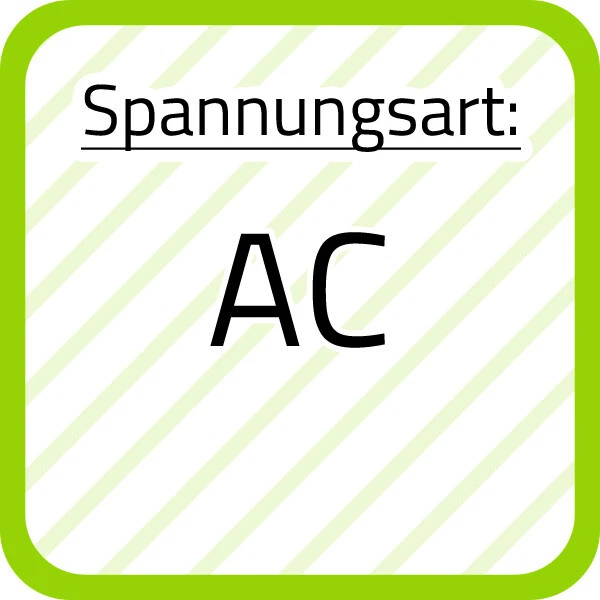 Bild 10 von 12